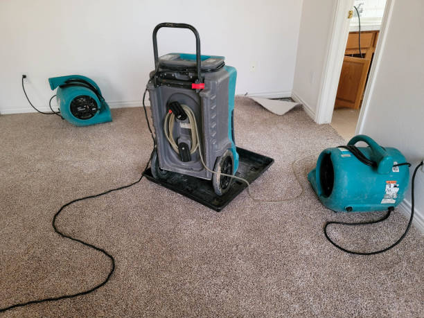  Hunter, OH Water damage restoration Pros