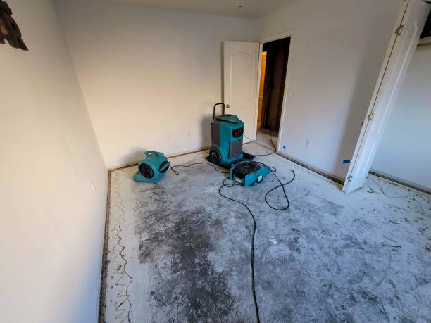 Best Flooded house restoration  in Hunter, OH