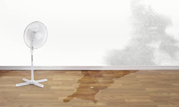 Best Flood restoration services  in Hunter, OH