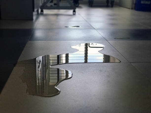 Best Professional water damage repair  in Hunter, OH