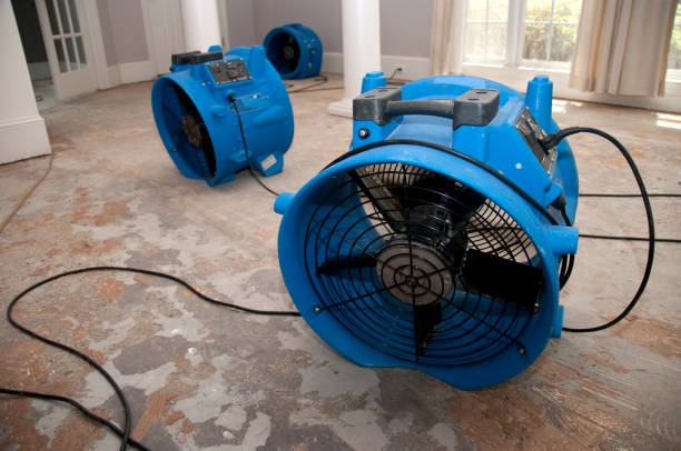 Best Water damage contractors near me  in Hunter, OH