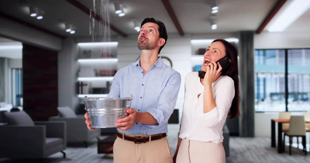 Best Flood damage cleanup  in Hunter, OH